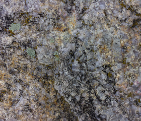 Raw gray granite rock texture background. Fragment of natural stone wall covered with moss
