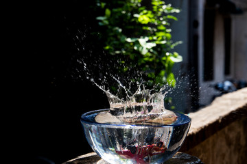 water splash on a hot sunny day. Splashing a tomato in a bowl of water to photograph the splash created