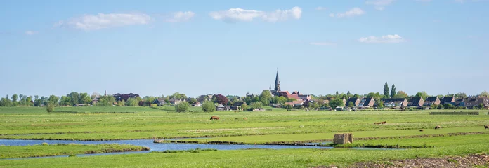  Panoramisch zicht op een klassiek polderlandschap en het dorp Reeuwijk-dorp in het westen van Nederland © Menyhert