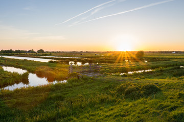 Sun sets over the wide open Dutch polder landscape. Green meadows intersected with ditches filled with water. - obrazy, fototapety, plakaty