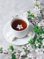 A Cup of fragrant tea on a white table with branches of blooming white cherries. Springtime