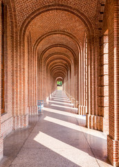 Forest Research Institute Dehradun India