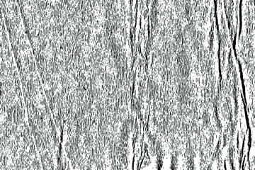 Grunge texture of crumpled gray paper. Abstract monochrome paper background. Vector illustration. Overlay template.