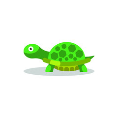 Flat design Turtle vector illustration, isolated on white background