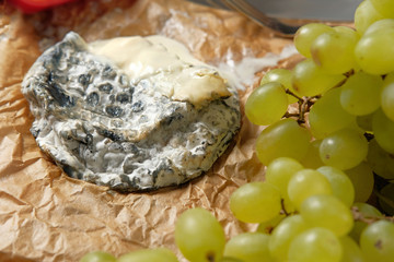 Cheese roquefort on parchment background