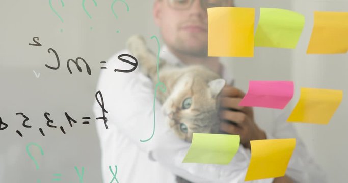 Young man scientist in glasses with cat is working with notes on sticks and formula on transparent screen. Einstein's theory of relativity. Science or education concept. Learning ideas and hypothesis.