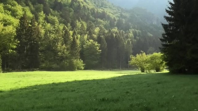 suoni colori della primavera prealpina