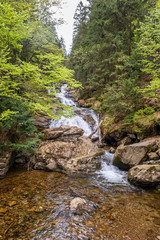 Fototapeta na wymiar Wanderung zu den Rißloch Wasserfälle bei Bodenmais | Naturerlebnis Bayerischer Wald