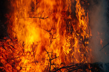 Brennende Christbäume von Weihnachten mit lodernden Flammen wie bei einem Waldbrand - Powered by Adobe