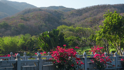 Viewing platform at mountaintop, in chongqing nanshan. Tropical garden in China