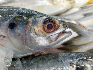 Close Up fish on ice in a fish shop.