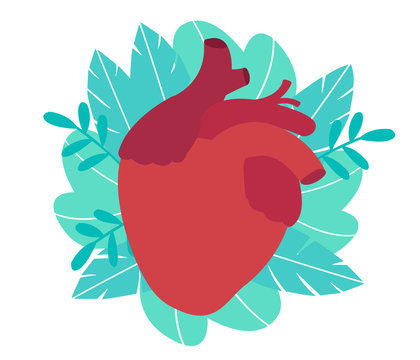 Illustration of vector real heart in flat style. Template or banner.