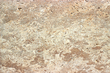 Naklejka premium shell rock texture 