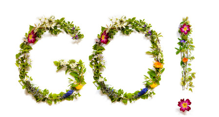 Flower, Branches And Blossom Letter Building English Word Go. White Isolated Background