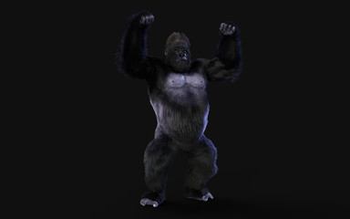 3d Illustration of a silverback gorilla on dark background with clipping path. © mrjo_7