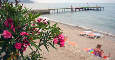Fototapeta na wymiar View of the empty Bodrum beach, Aegean sea, flowers, marina, sailboats, yachts in Bodrum town Turkey.