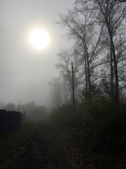 Morning fog in the village