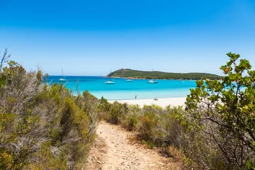 Foto op Plexiglas Rondinara beach in Corsica Island in France © Samuel B.