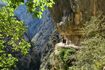 ruta del cares