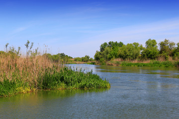 River Begej . Zrenjanin, Vojvodina, Serbia