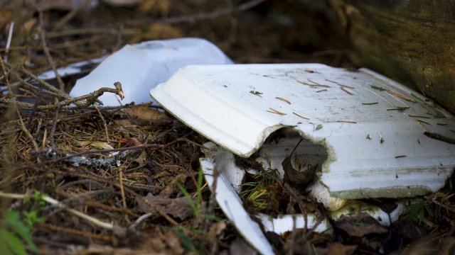 Closer Look Of The Styrofoam Waste On The Ground