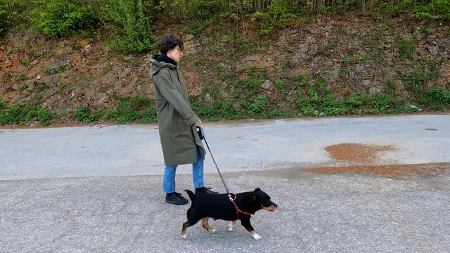 Woman in casual clothes walking with small black dog on the road in nature, footage with action camera