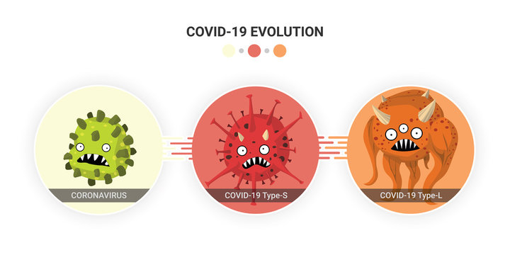 Virus Coronavirus mutation to COVID-19 Type S and COVID-19 Type L. Vector flat cartoon character illustration icon design.Superbug evolution microorganism infographic concept