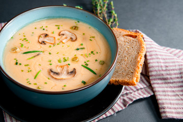 Close up delicious mushroom cream soup with champignons