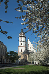 Thomaskirche Leipzig im Frühling