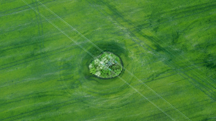 aerial view of grass field. natural green spring summer background. drone shot. Farmland from above