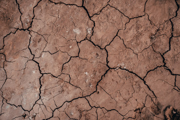 dry cracked earth
