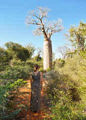Woman wearing dress with animal pattern walking towards baobab tree, view from behind, bushes and...