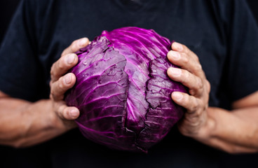 cabbage in hands