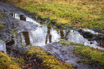 Dirt road in the woods and a puddle in the middle of the road