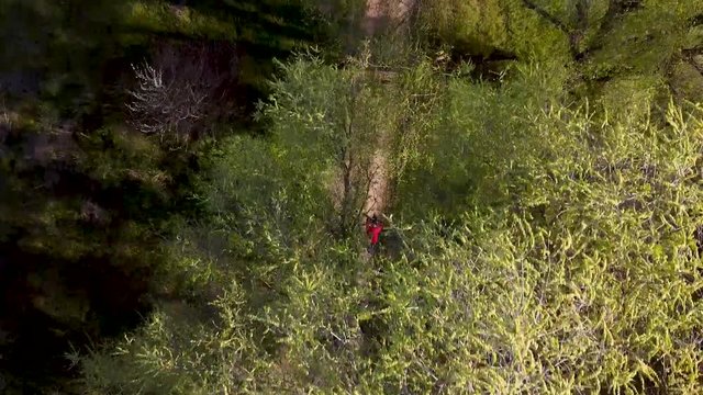 The guy rides a bicycle in the forest top view