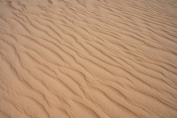 Background with sand and sandy waves texture