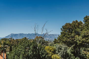 Elevated view of Marbella mountains and trees, Marbella, Costa del Sol, Malaga Province, Andalucia, Spain, Western Europe.