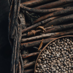 Marijuana seeds in the foreground