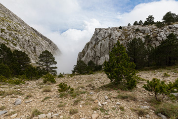 Beautiful landscape in the spring, Dalmatia, Croatia