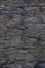 Rough Uneven Surface Texture of Wadi Ghul aka Grand Canyon of Oman in Jebel Shams Mountains. Vertical Photo