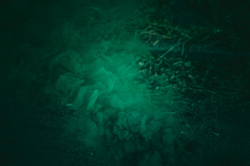 Fototapeta Abstrakcyjne tło ciemno zielone, winieta. obraz