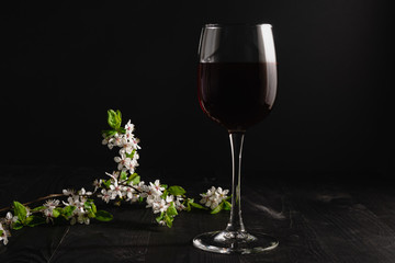 Glass of red wine and flowering apricot branch on a dark background. Alcoholic drink with fruity notes.