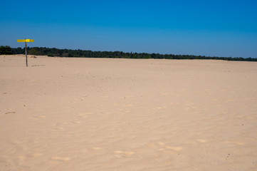 Desert nature landscapes in national park De Loonse en Drunense Duinen, North Brabant, Netherlands