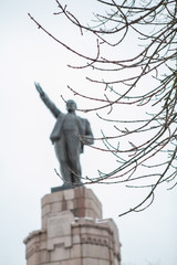 Fototapeta premium Leninin monument behind the branches of the Kostroma tree памятник лененина за ветками дерева Кострома