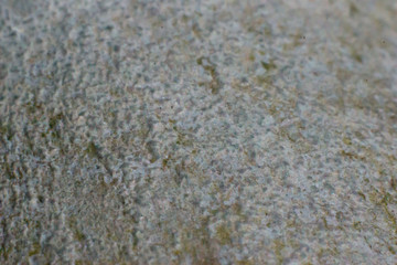 galvanized metal over time