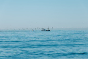 Fishing boat followed by seagulls in sea