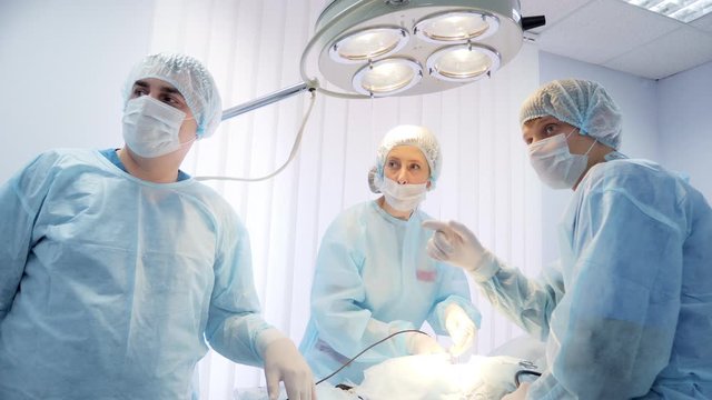 Vets doing the operation for the cat on the operating table in a local clinic. Cat in a veterinary surgery