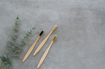 Plastic free concept, set of three wooden bamboo toothbrushes decorated with eucalyptus branch. Top view zero waste with copy space