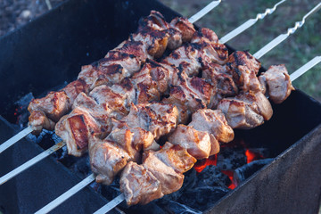 Juicy kebab of pork meat served on coals