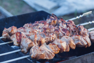 Juicy kebab of pork meat served on coals